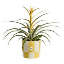 blocks & stripes 15cm cream yellow